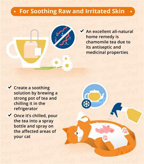Home Remedy For Cat Skin Rash