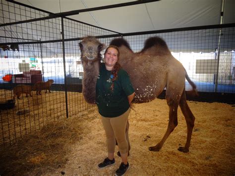 Safari Zoo Internships The Watering Hole