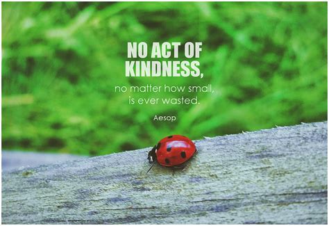 Small Acts Of Kindness
