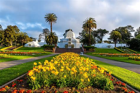 San Francisco Botanical Garden Discover A World Of Natural Beauty And