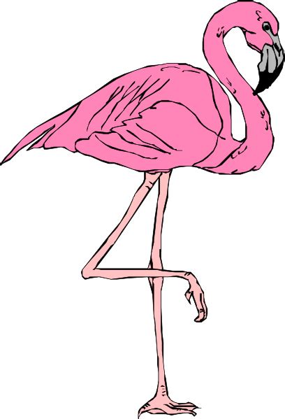 Pink Flamingo Cartoon Clipart Clipart Kid 2 Clipartix