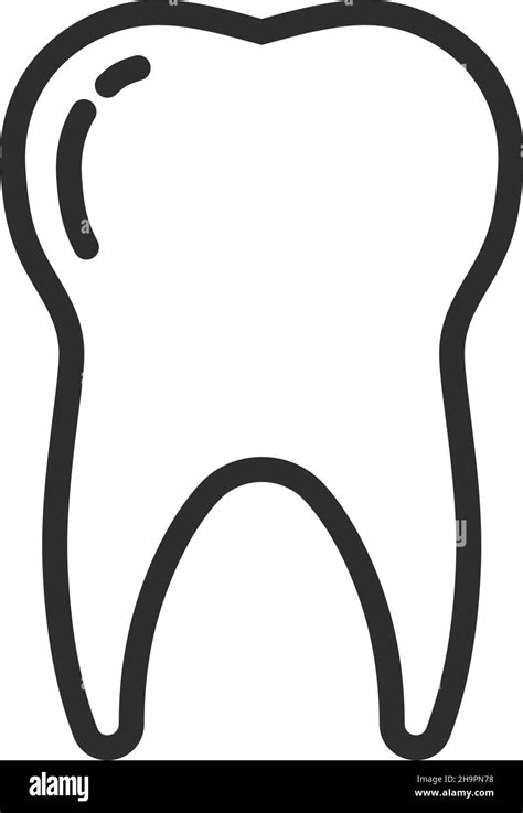 Tooth Line Icon Molar Sign Dental Clinic Logo Stock Vector Image