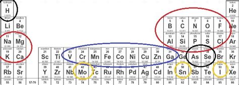 Uncategorized Learn Biochemistry