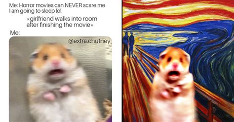 Scared Hamster Is The Internets Newest Cute Meme Craze Memebase Funny Memes