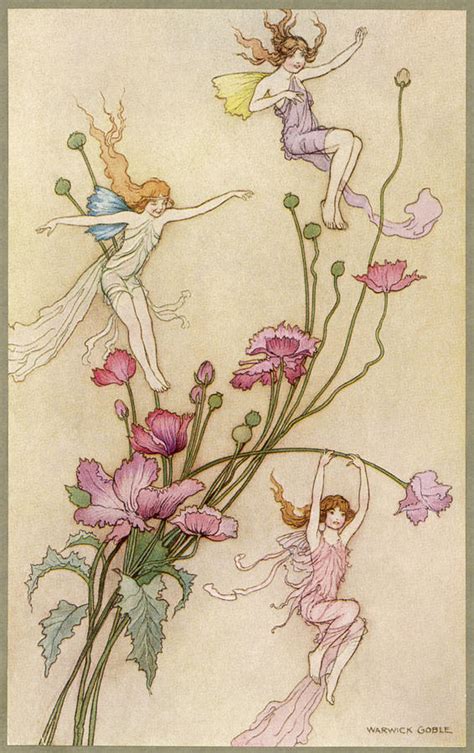 Fairies And Flowers Drawing By Mary Evans Picture Library Fine Art