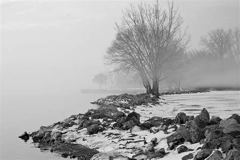 Misty Morning Foggy Morning On Lake Erie Lake Erie Metro Flickr