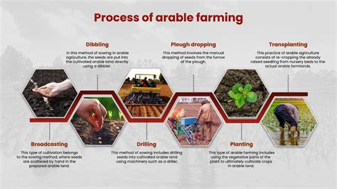 Arable Farming In India Important Verticals Clarified
