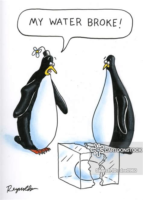 Or play starbound and get the penguin costume. Going Into Labour Cartoons and Comics - funny pictures ...