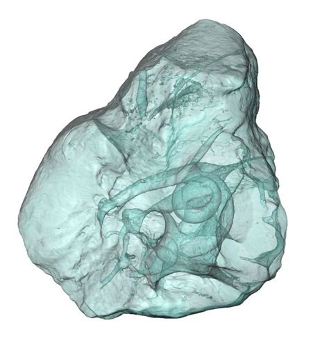 Virtual Reconstruction Of The Image Eurekalert Science News Releases