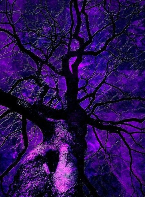Absolutely Gorgeous Dark Purple Aesthetic Purple Vibe Purple Aesthetic