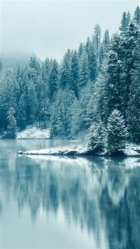 Pine Forest Lake Snow Iphone 8 Wallpapers Free Download