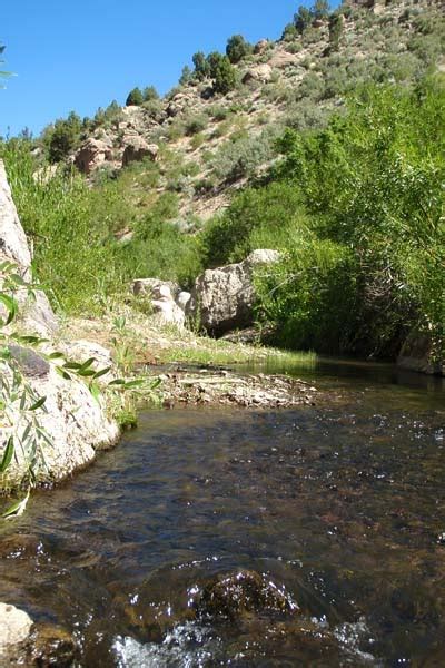 Beaver Dam Creek Lincoln County Nevada Fisherdad