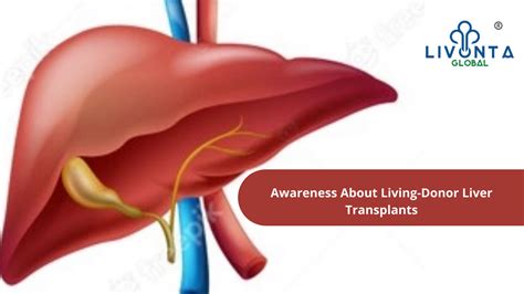 raise awareness about living donor liver transplants and save lives livonta global pvt ltd