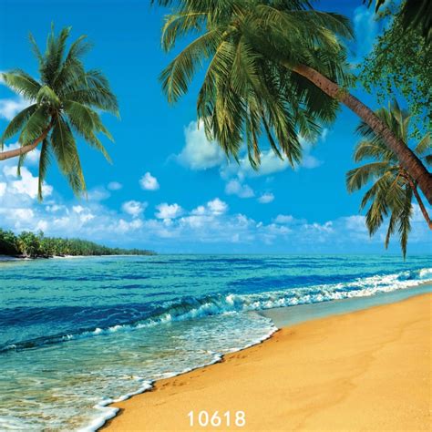 Strand Seaside Kokosnoot Bomen Fotografie Achtergrond Doek Vinyl