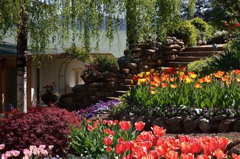 Crystal Hermitage Tulip Gardens At Ananda Village Nevada City California
