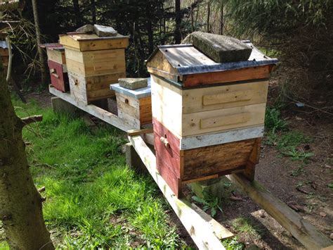 Che Guebee Apiary Supering The Short Top Bar Hives
