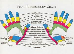 Hand Reflexology Chart Reflexology Chart Hand Reflexology