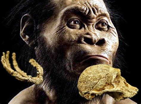 For the two extended investigations of the chamber in 2013 and 2014, dr. Nearly Naledi - Africa Answerman