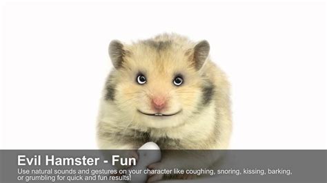 Crazytalk7 Evil Hamster Fun Youtube