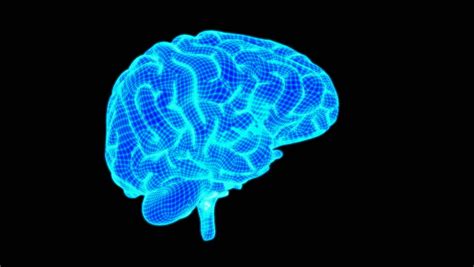 Digital Animation Of Brain Spinning On Blue Background Stock Footage