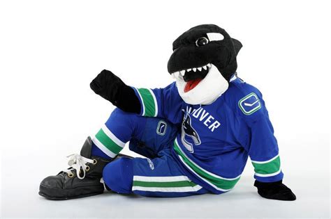 Canucks Orca Whale Watch Find Fin And His Friends This Summer Nhl