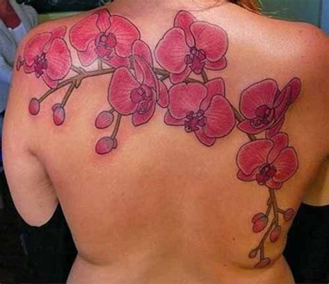 Orchids Orchid Flower Tattoos Orchid Tattoo Tattoos
