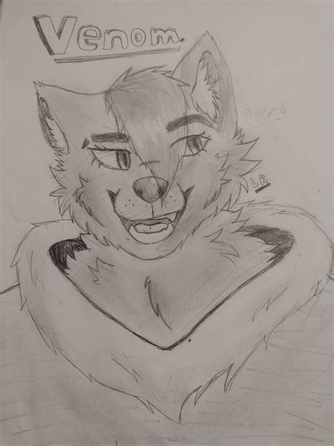 Tried To Draw My Fursona After A Long Time Of Not Drawing Furries
