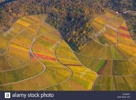 Zusammen mit rund 2.000 ausgewählten unternehmen und sozialen einrichtungen (den dualen partnern) bietet sie rund 60 national und international anerkannte. Germany, Baden-Wuerttemberg, Stuttgart, aerial view of ...