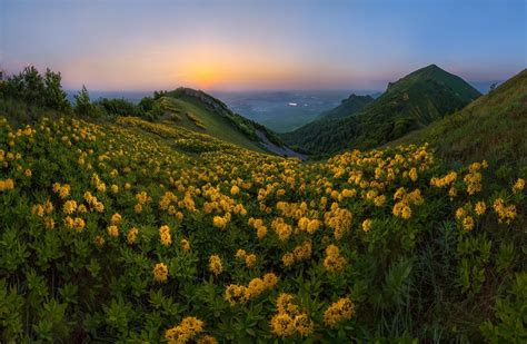 Download 1920x1255 Yellow Flowers Field Sunset Hill Mountain