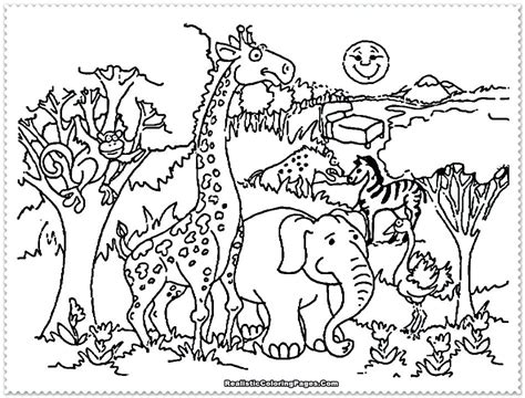 Baby Safari Animals Coloring Pages At Getdrawings Free Download