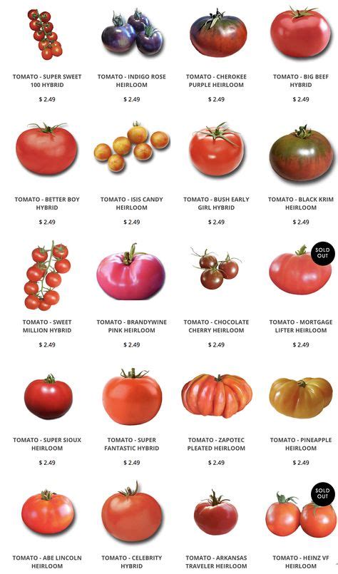 120 Heirloom Tomatoes Ideas In 2021 Heirloom Tomatoes Growing