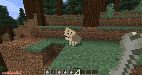 More Dogs Mod 11521144 More Dog Breeds To Minecraft 9minecraftnet
