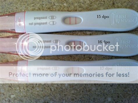 Trying To Conceive Forum • View Topic Progression 15 17 Dpo