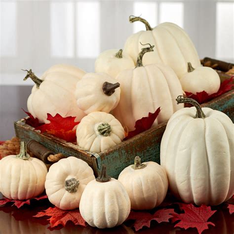 Assorted Harvest White Artificial Pumpkins Fall And Halloween