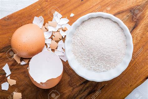 Unlike their outdoor siblings, plants grown indoors can't send roots deep down into soil to find minerals. This is why you start eating eggshells. | Thika Town Today