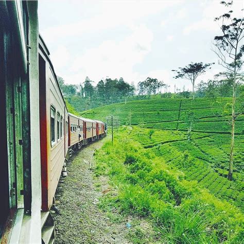 Who Wanna Join With Our Scenic Train Journeys Talawakele Sri Lanka