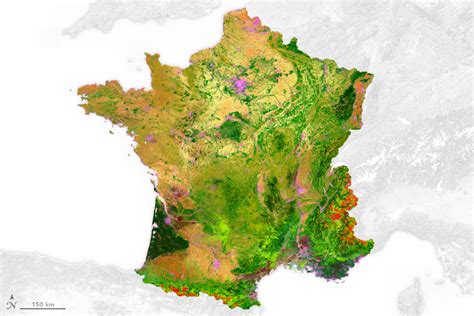 Land Cover Map Of France