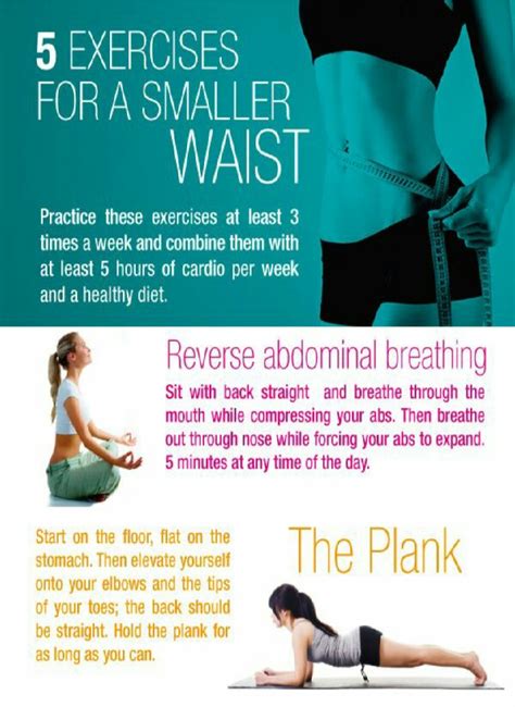 Exercises For A Smaller Waist Musely