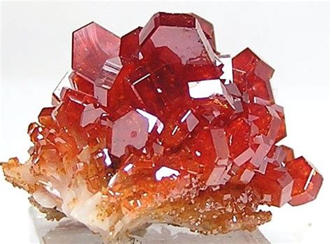 Bright Red Orange Vanadinite Crystals On White By Fenderminerals