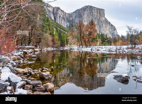 El Capitan Famous Mountain Reflected On The Merced River At Valley View