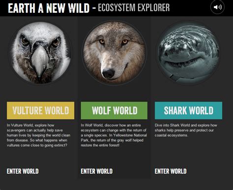 Ecosystem Explorer Activities For Learning About Predators And