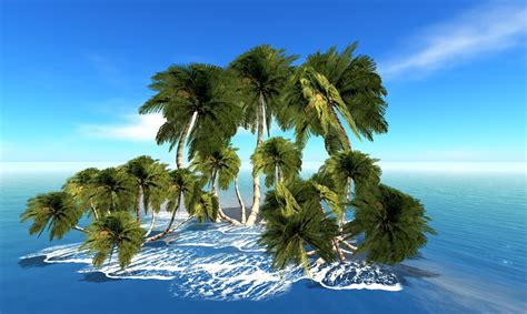 Palm Trees On The Island Wallpapers And Images