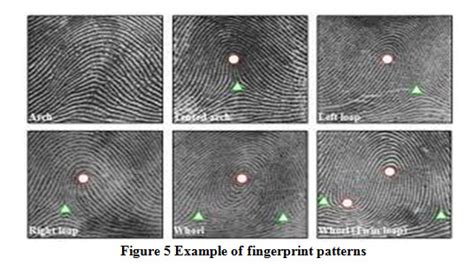 Improve Fingerprint Recognition Using Both Minutiae Based And Pattern