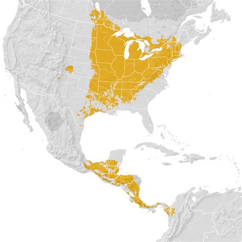 Golden Winged Warbler Range Map Pre Breeding Migration Ebird