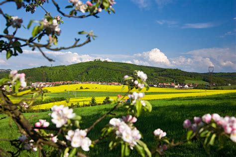 Beautiful Spring Countryside Stock Photo Image Of Spring Plant 14287798