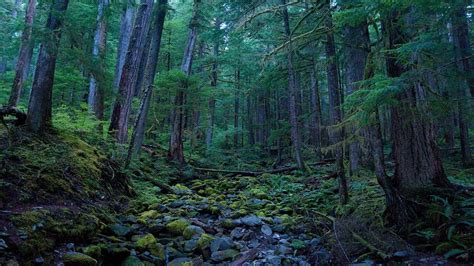 Olympic National Park Wallpapers Top Free Olympic National Park