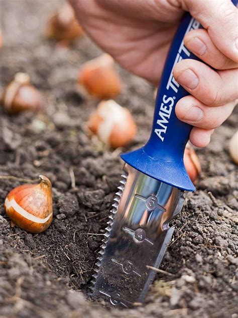 14 No Fail Tips For Planting Your Favorite Bulbs
