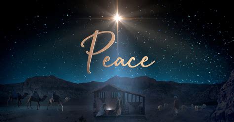 Starry Night Nativity Peace Still Still Background
