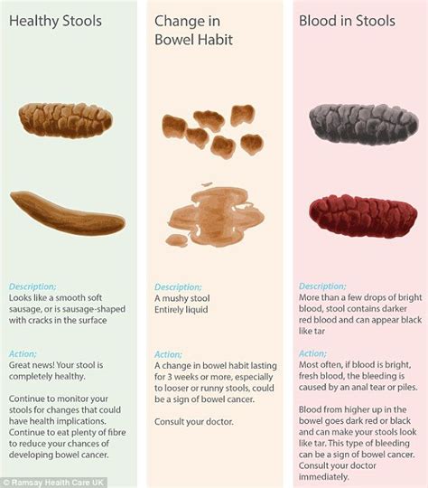 What Is The Bristol Stool Chart Adult Human Poop Chart Stool Color