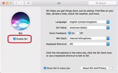 How To Turn Siri Off On MacOS Sierra Step 2 Turn Ons Siri Sierra